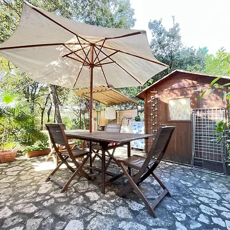 Oasy Apartament