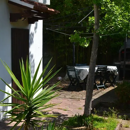Oasy Apartament Appartement