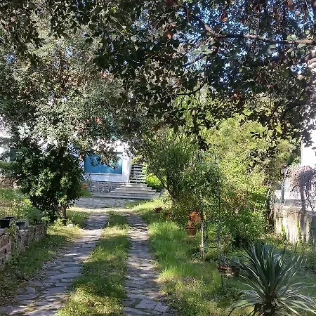 Oasy Apartament Tirrenia